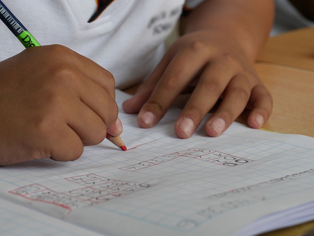 Inscrições para a Olimpíada de Matemática vão até segunda-feira (17)
