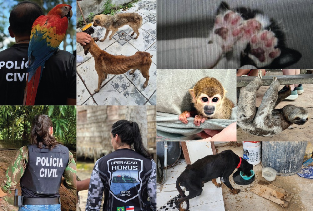Dia Mundial do Meio Ambiente: Polícia Civil atua no combate aos maus-tratos animais e a preservação ambiental
