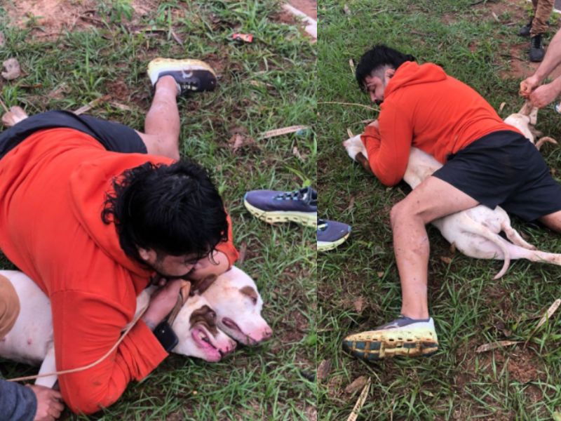 Vídeo: Homem é atacado por 2 pitbulls a caminho da academia e consegue imobilizar animais