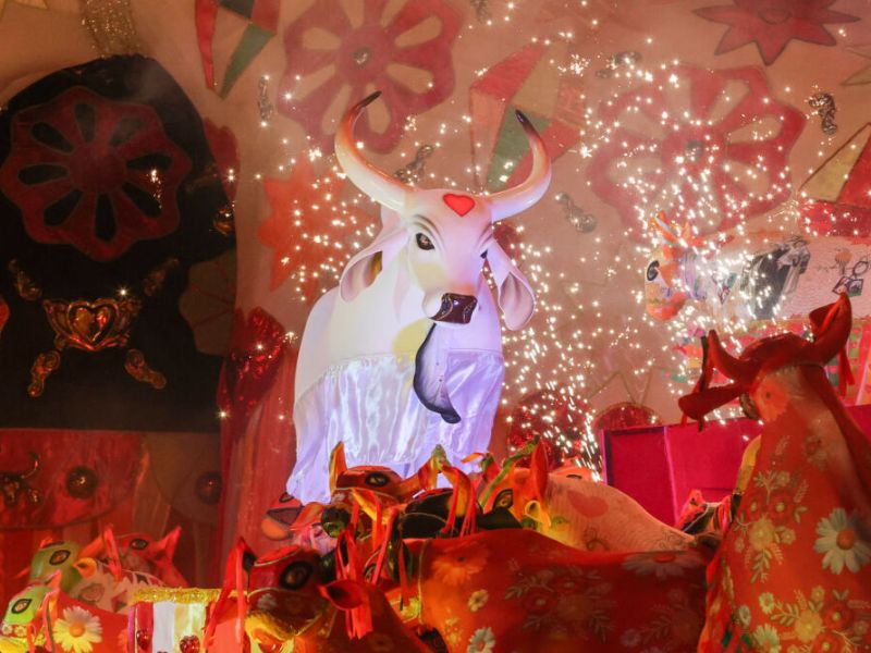 Boi do Povo, Boi do Povão: Garantido é o campeão do 58° Festival Folclórico de Parintins