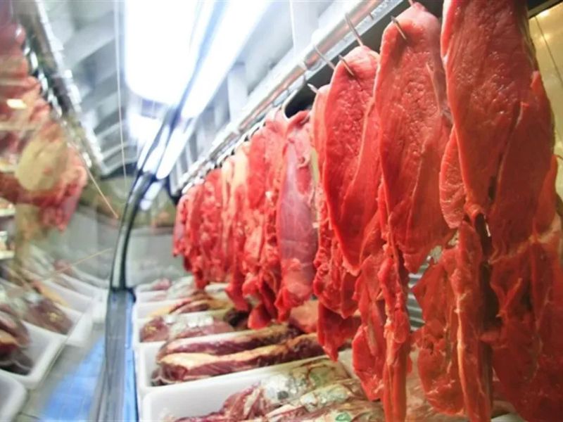 Venda de carne bovina do Brasil para os EUA cai 60% após recorde de abril, diz associação de exportadores