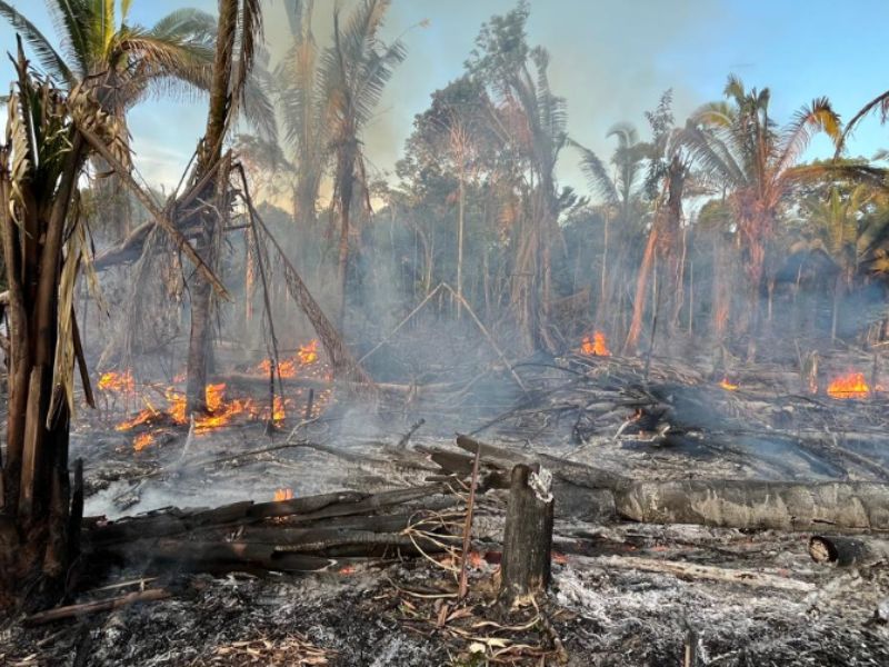 Durante operação, polícia flagra incêndio criminoso e autua dois suspeitos em Manicoré