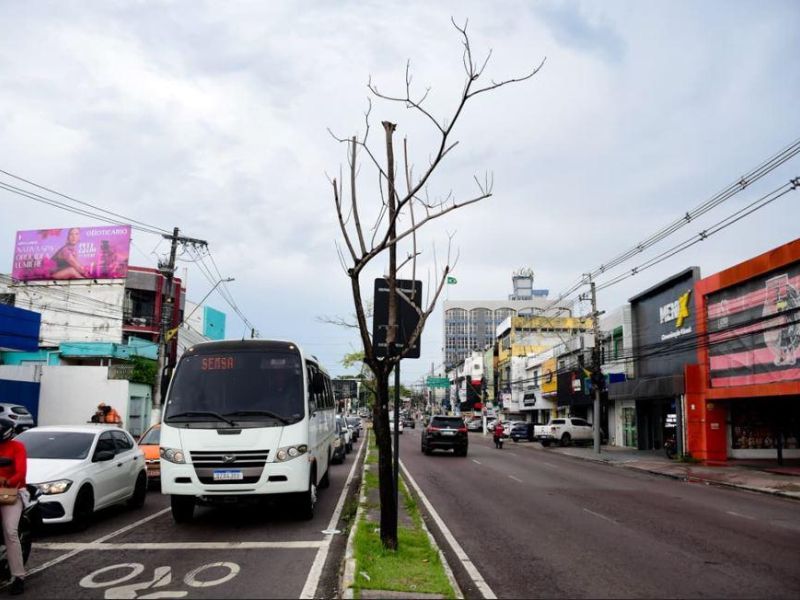 Em 65 anos, processo de arborização das ruas de Manaus pouco avançou